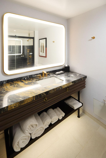 Bathroom 4, Hyatt Centric Chicago O'hare, Cook