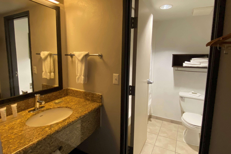 Bathroom 4, Wingate by Wyndham Chandler, Maricopa