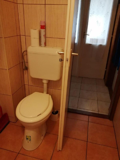 Bathroom 3, Piroska Vendeghaz, Püspökladány
