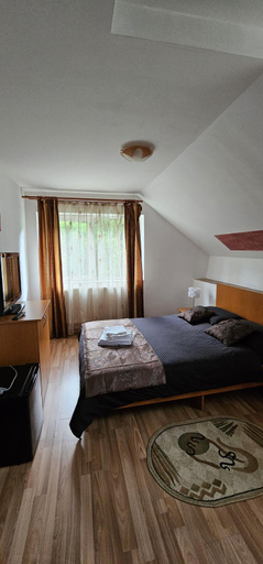Bedroom 2, Pensiunea Flora, Cartisoara