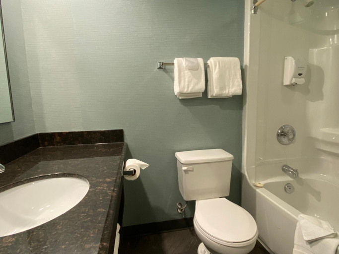 Bathroom 4, Americana Waterpark Resort & Spa, Niagara