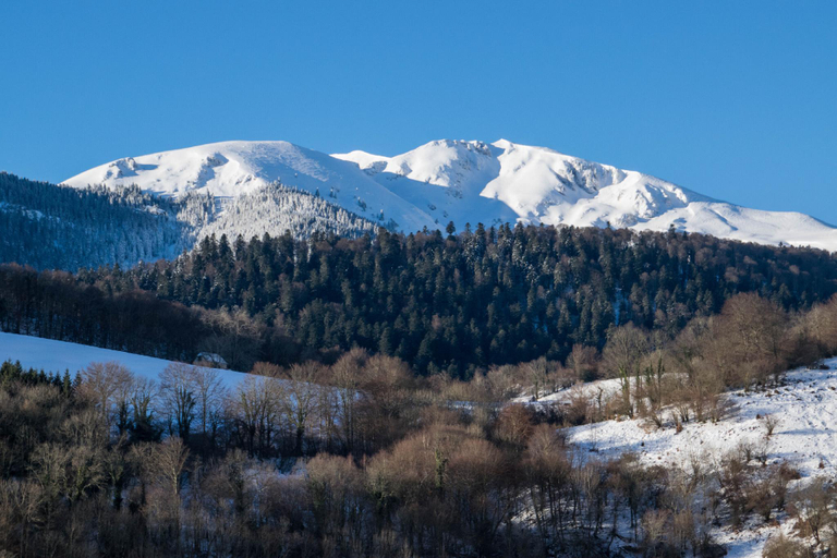 Others 5, Vie d'Estive, Hautes-Pyrénées