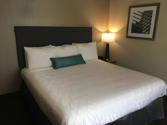 Bedroom 4, City Center Inn & Suites, San Francisco
