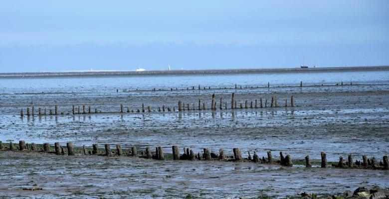Others 4, De Hocht, Dongeradeel