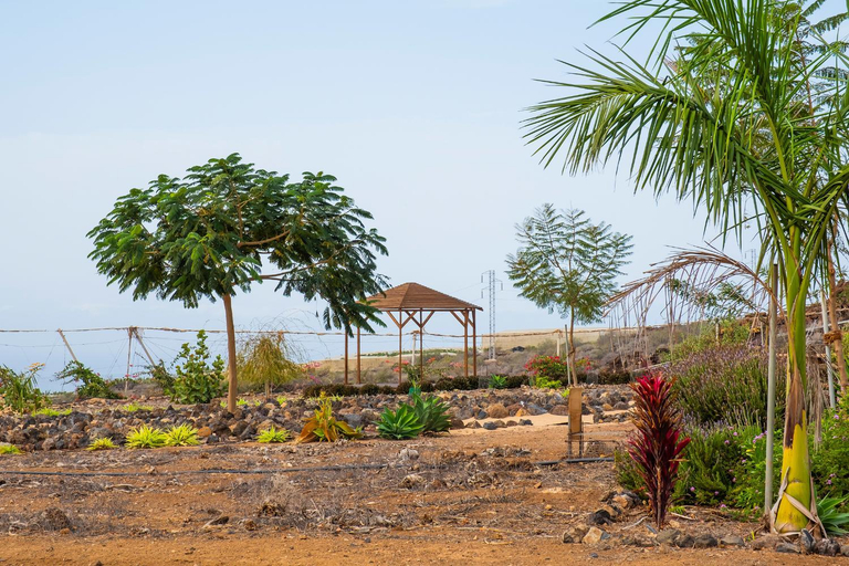 Others 3, Tenerife Healing Garden, Santa Cruz de Tenerife