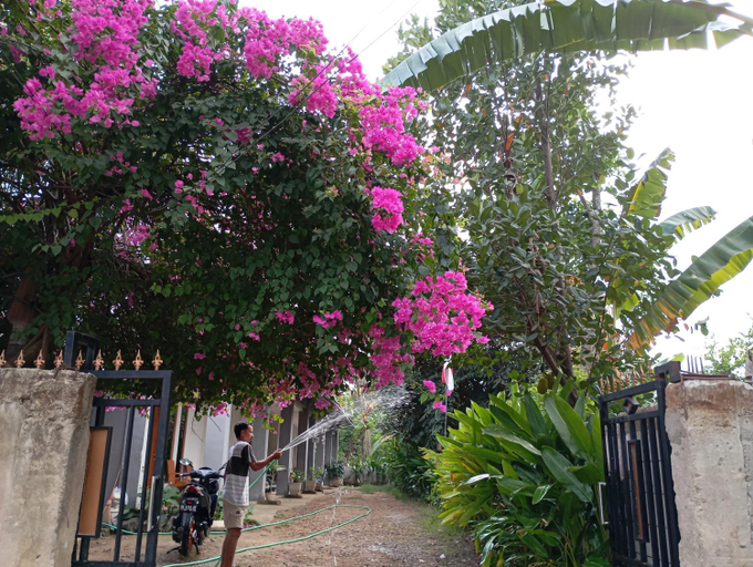 Others 4, WL GUESTHOUSE, West Manggarai