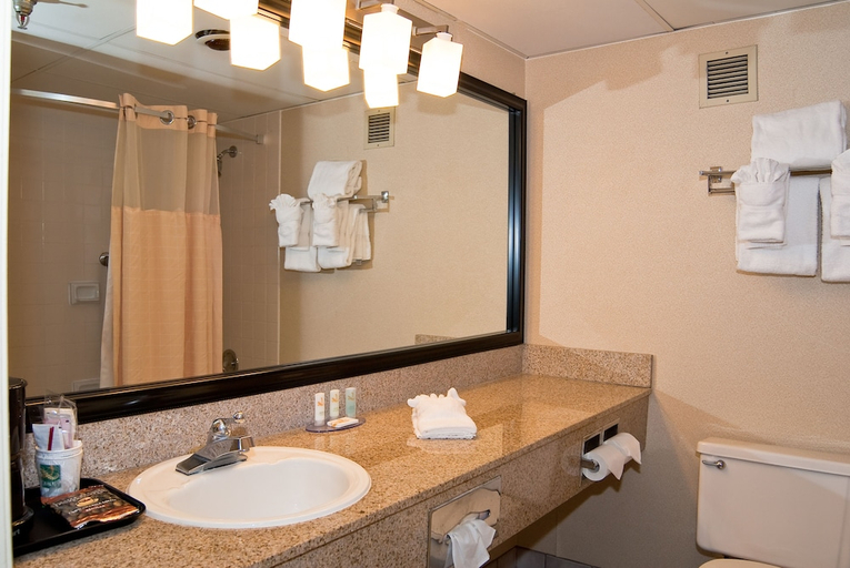 Bathroom, Quality Inn & Conference Center, Clark