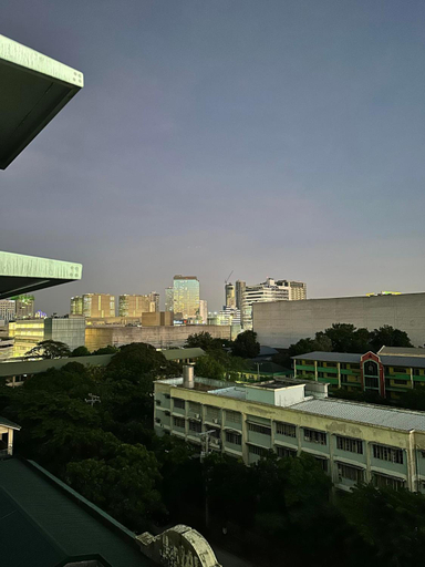 Others 4, SMDC Fern at Grass Residences Tower 4, Quezon City