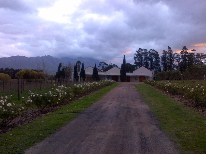 Others 3, Lemberg Wine Estate, Cape Winelands