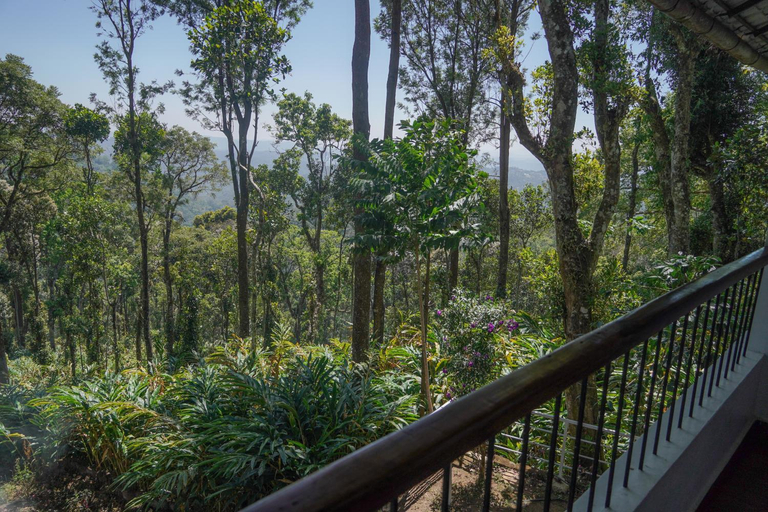 Others 3, Blue Bells Resorts, Idukki
