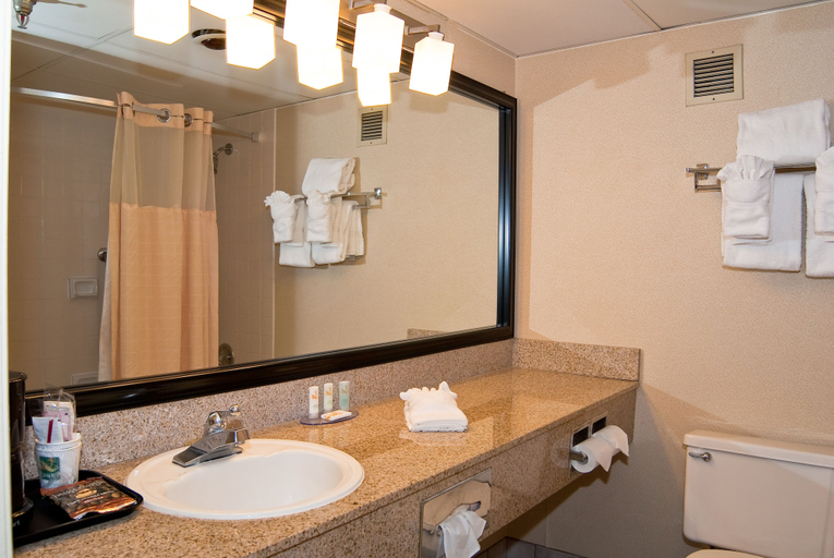 Bathroom 4, Quality Inn & Conference Center, Clark
