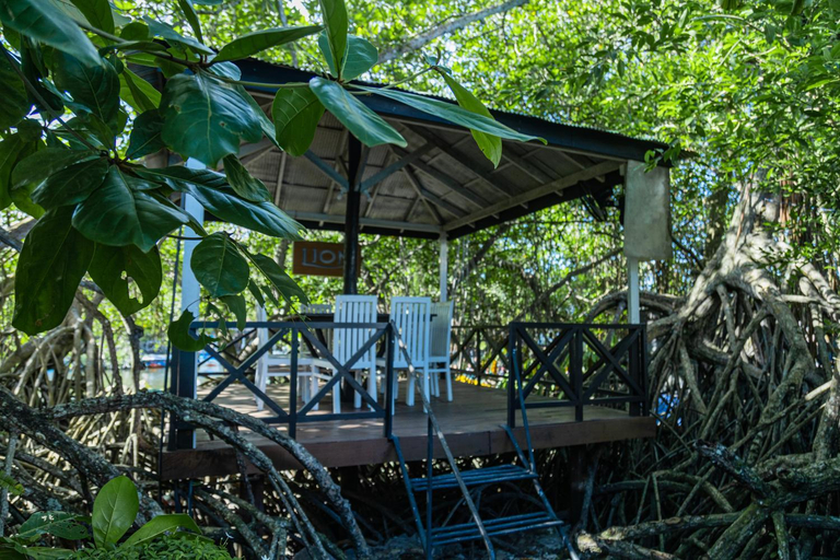 Others 5, The Mangrove Cave Hotel, Balapitiya