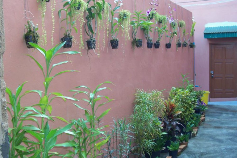 Exterior & Views 1, D's Corner & Guesthouse, Phuket Island