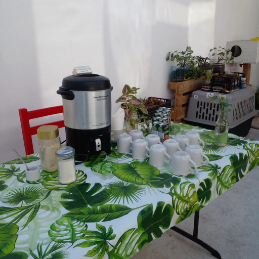 Others 5, Vive Alegria Hostel, Puerto Vallarta
