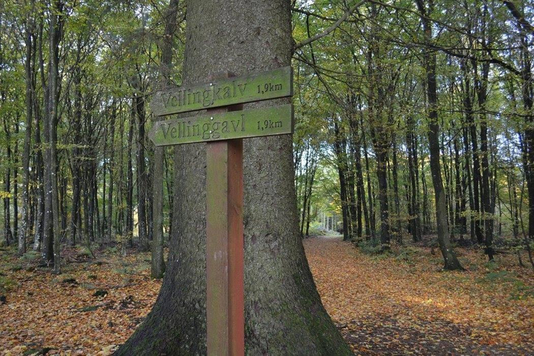 Others 4, Velling Koller Hotel og Camping, Silkeborg