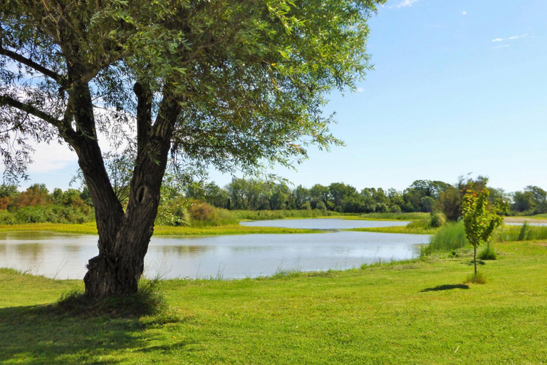 Others 5, Holiday Home in Camargue with Private Pool, Bouches-du-Rhône