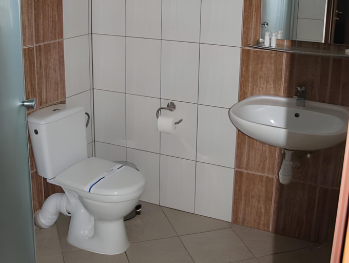 Bathroom 2, Alpenhof Pansion, Skolivs'kyi