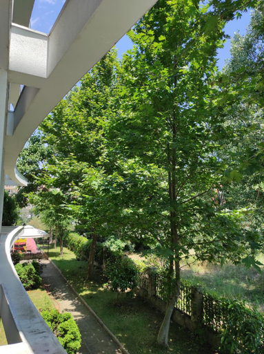 Garden, ABELIA Residence, Nesebar