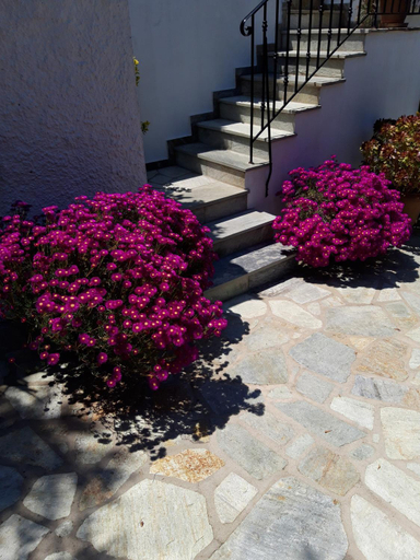 Others 4, Olive Grove Studios, Thessaly