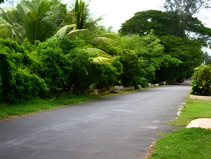 Others 2, Tharavad Heritage Resort, Alappuzha