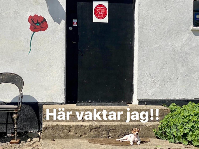 Others 3, Wingardhs B&B Osterlen, Ystad