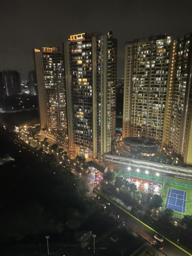 Others 4, ROYAL NEST PREMIUM (A.S), Pune
