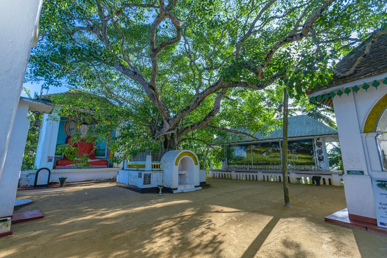 Others 3, The Mangrove Cave Hotel, Balapitiya