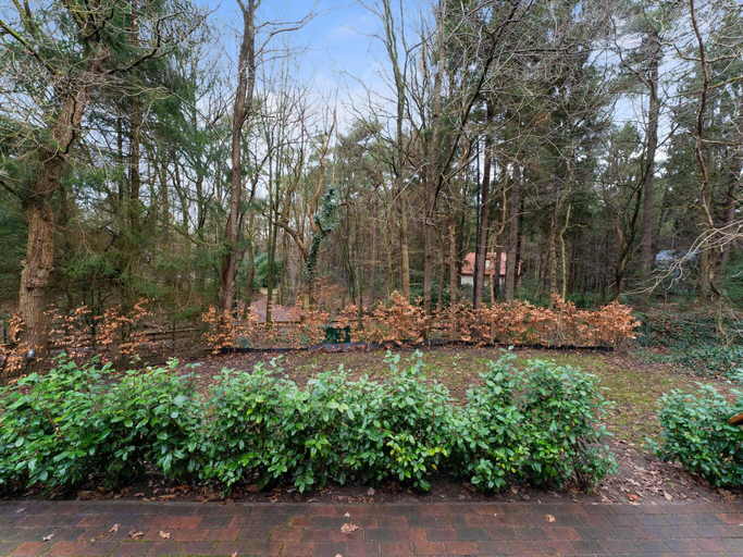 5, Forest House in Norg with Private Sauna, Noordenveld