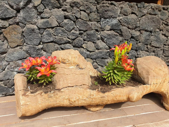 Others 4, HOTEL & HOSTAL CHIL'IN, Las Trancas, Ñuble