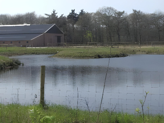 Others 5, Horsetellerie Rheezerveen, Hardenberg