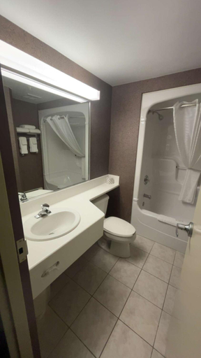 Bathroom 4, Comfort Inn Lundys Lane, Niagara