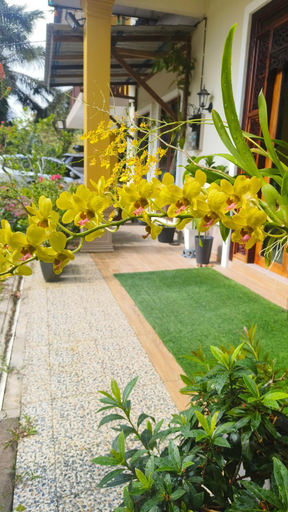 Others 5, Bang Brahim Roomstay, Batu Pahat