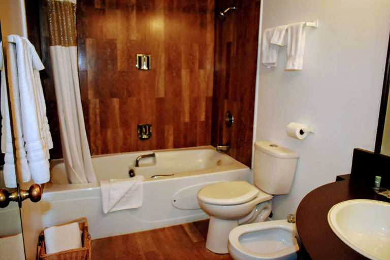 Bathroom 4, Best Western Downtown Sudbury Centreville, Greater Sudbury
