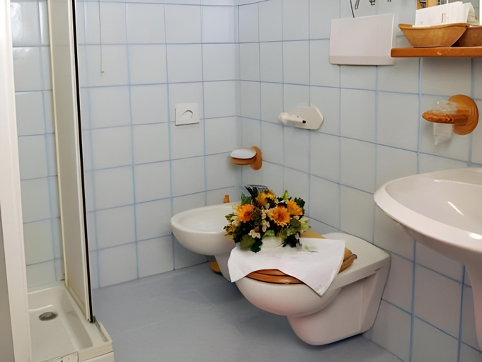 Bathroom 2, Hotel Ristorante Milano, Trento