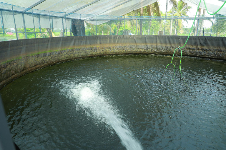 Sport & Beauty 2, Mulanthanam Resorts, Alappuzha
