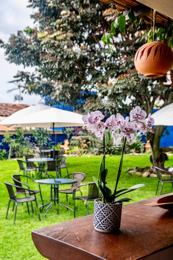 Food & Drinks 5, Pancha Mama Hotel Boutique, Villa de Leyva