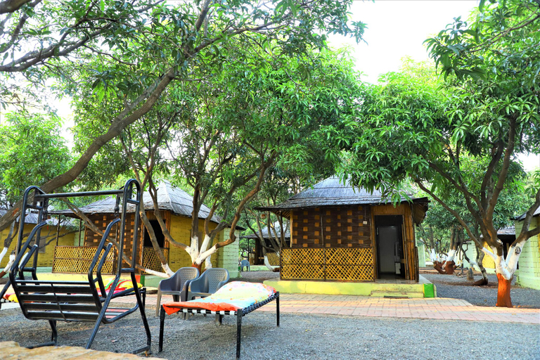 Others 5, Sasangir wilderness camp, Junagadh
