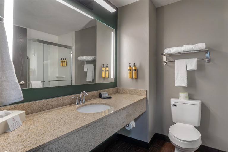 Bathroom 4, Best Western Plus Executive Inn, Elk