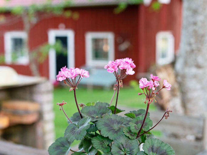 Exterior & Views 1, person holiday home in NASSJO, Nässjö