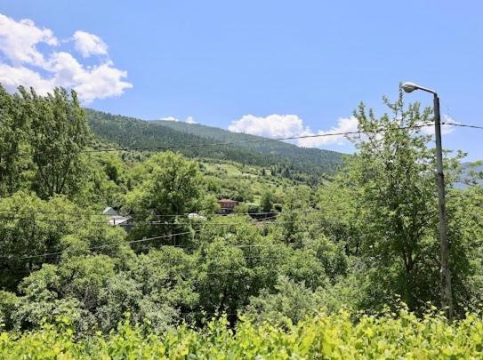 Others 3, borjomi wood edge, Borjomi