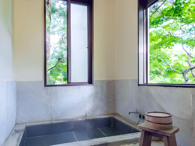 Bathroom 4, Gora Kansuiro, Hakone