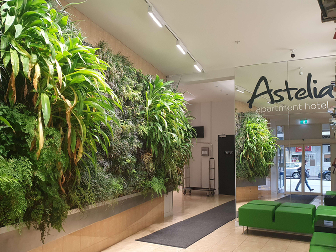 Public Area, Astelia Apartment Hotel, Wellington