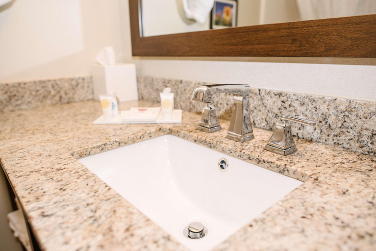 Bathroom 4, Best Western Buffalo Ridge Inn, Custer