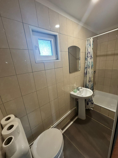 Bathroom 3, Casa Alex, Pitesti