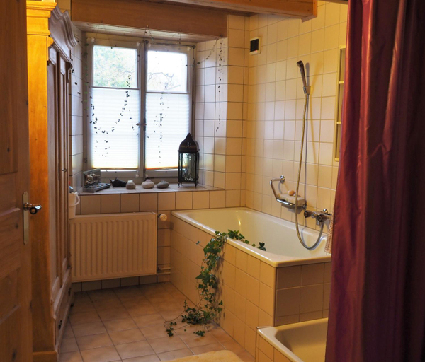 Bathroom 2, BnB Lafleur, Les Franches-Montagnes