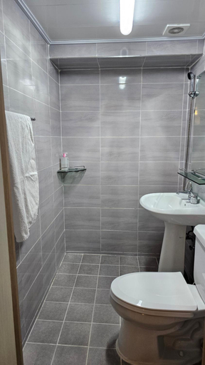 Bathroom 4, DADA House, Jung