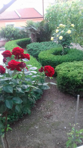 Others 5, Apartmani Misak, Nin