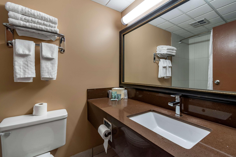 Bedroom 4, Best Western Marquis Inn & Suites, Division No. 15