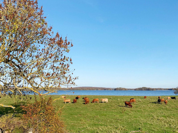 Others 5, person holiday home in KRISTIANSTAD-By Traum, Kristianstad