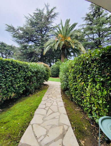 Others 4, Le cannois, Alpes-Maritimes